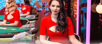 Seinl Sportsbook မြန်မာ့အားကစားလောင်းကစား ပလက်ဖောင်း